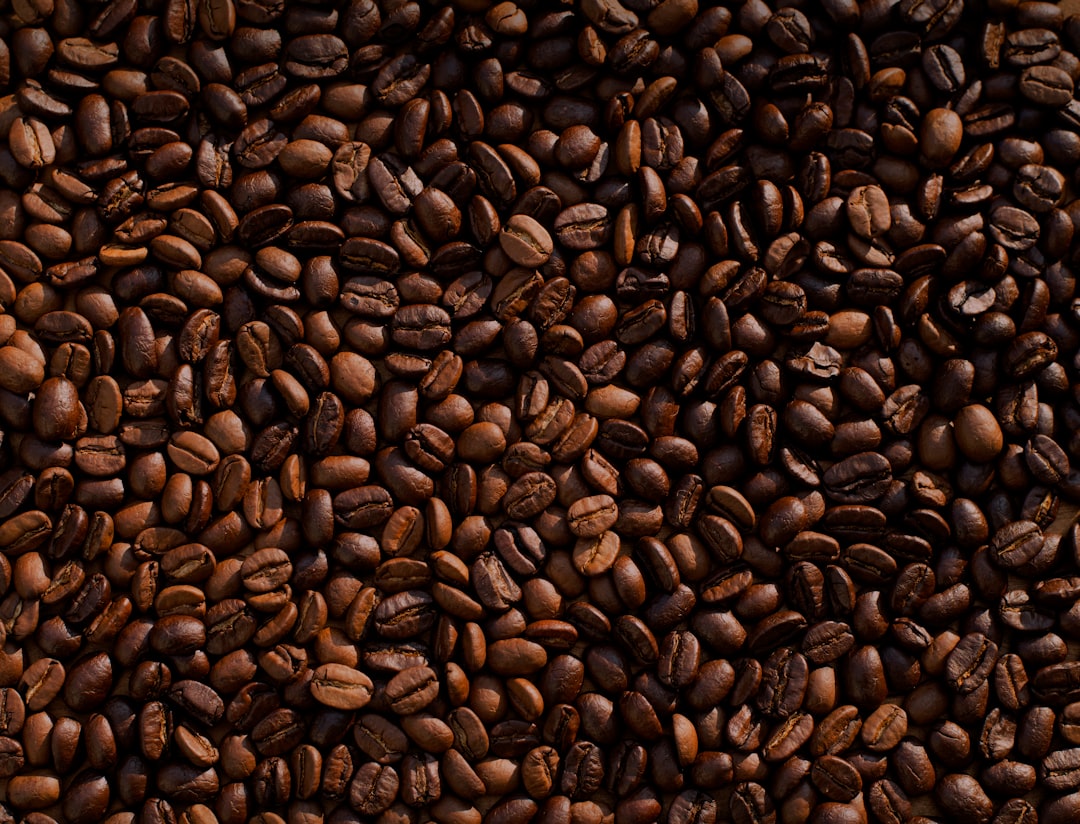 Unveiling Cafe Pricing: Value, Strategies, and Satisfaction