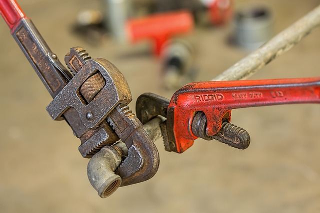 Denver’s Top-Rated Auto Repair Services: Trusted, Innovative, and Premium Care