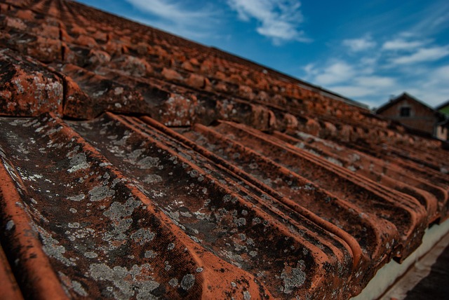 roofing inspection