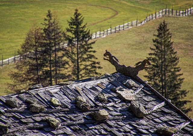 roofing inspection