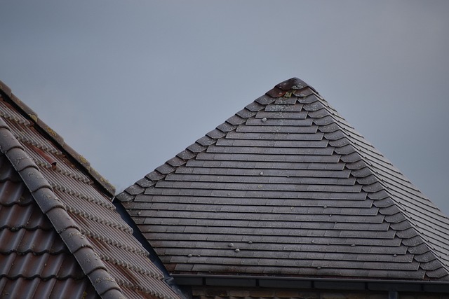 roofing inspection