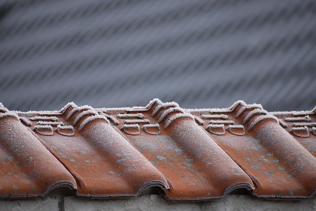 roofing inspection