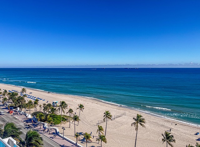 Moving Companies Miami Florida
