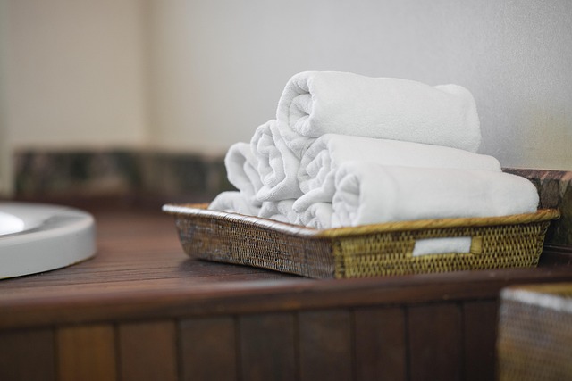 Affordable House Cleaning Experts: Freshen Your Florida Space Today