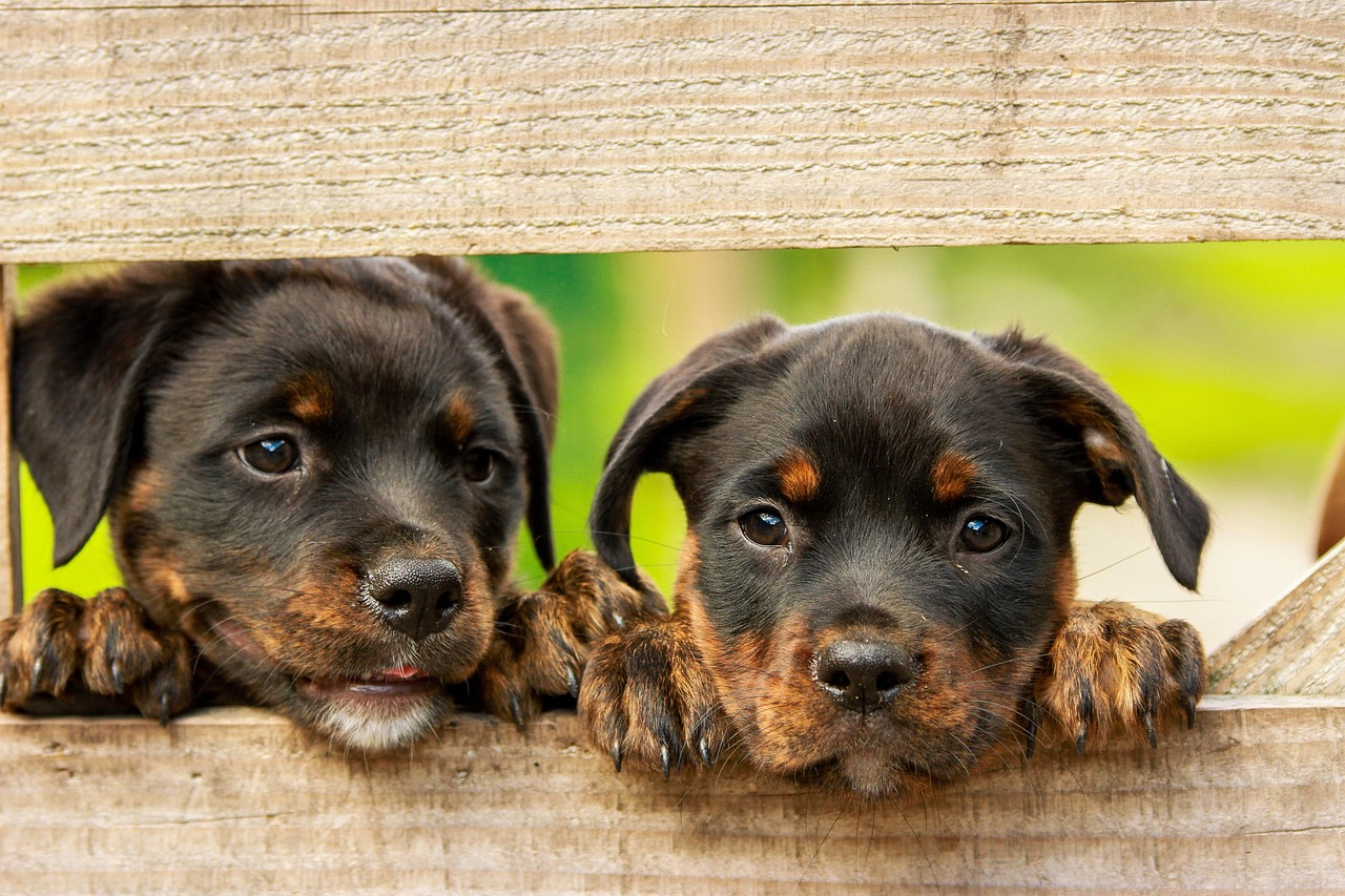 sarasota-news-stay-informed-with-local-u-640x480-5k2ovr