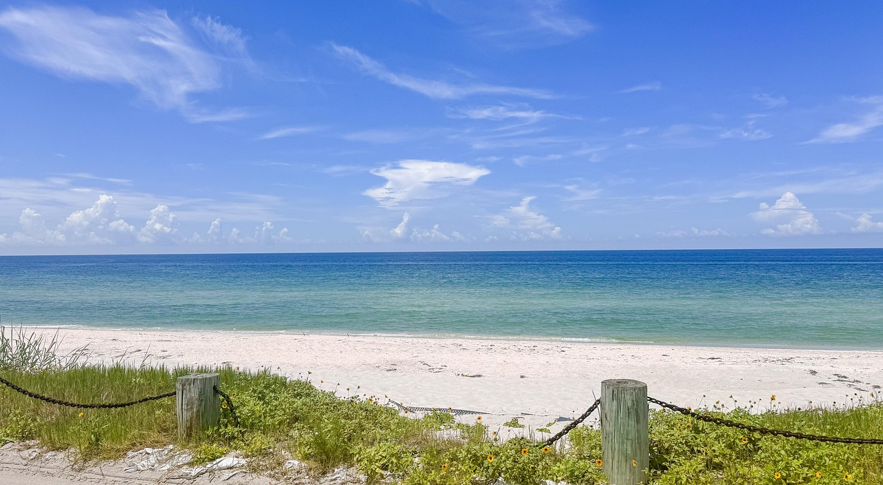 sarasota-news-your-local-update-directly-640x480-wudsp6